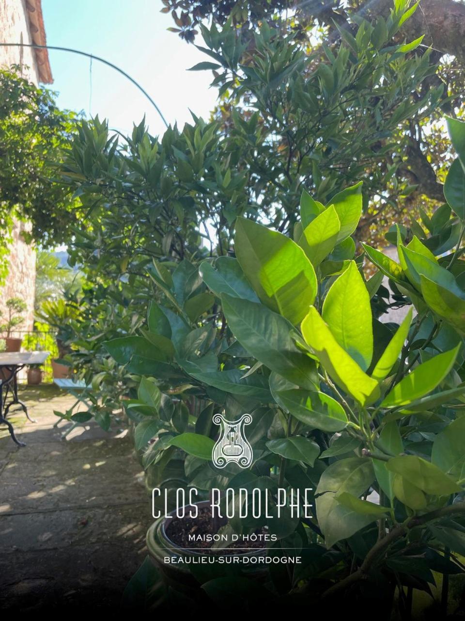 ביוליו-סור-דורדון Le Clos Rodolphe מראה חיצוני תמונה